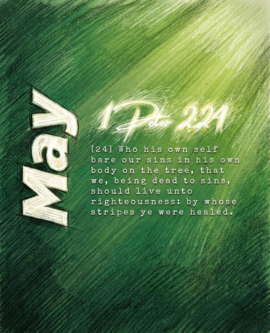 May chapter artwork, 1 Peter 2:24